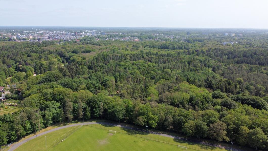 Groenvisie 2023