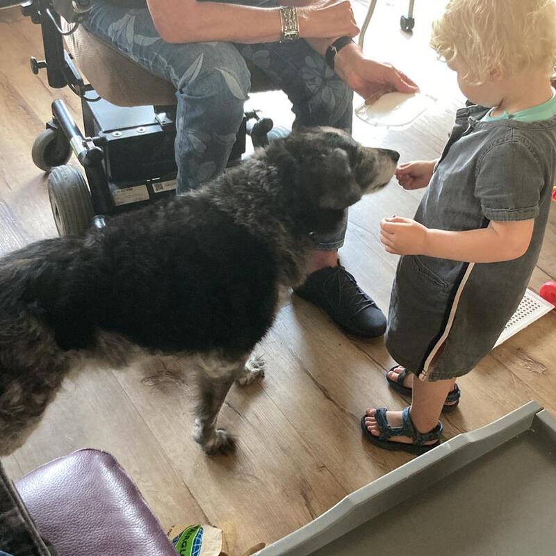 Hond Willem Dierendag