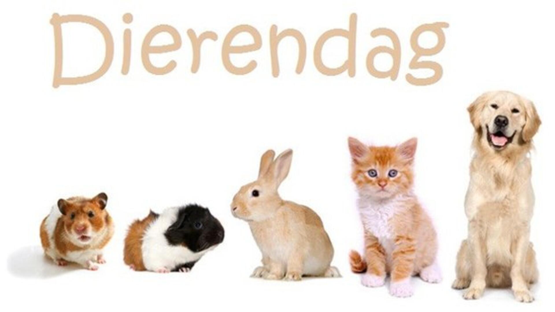 dierendag