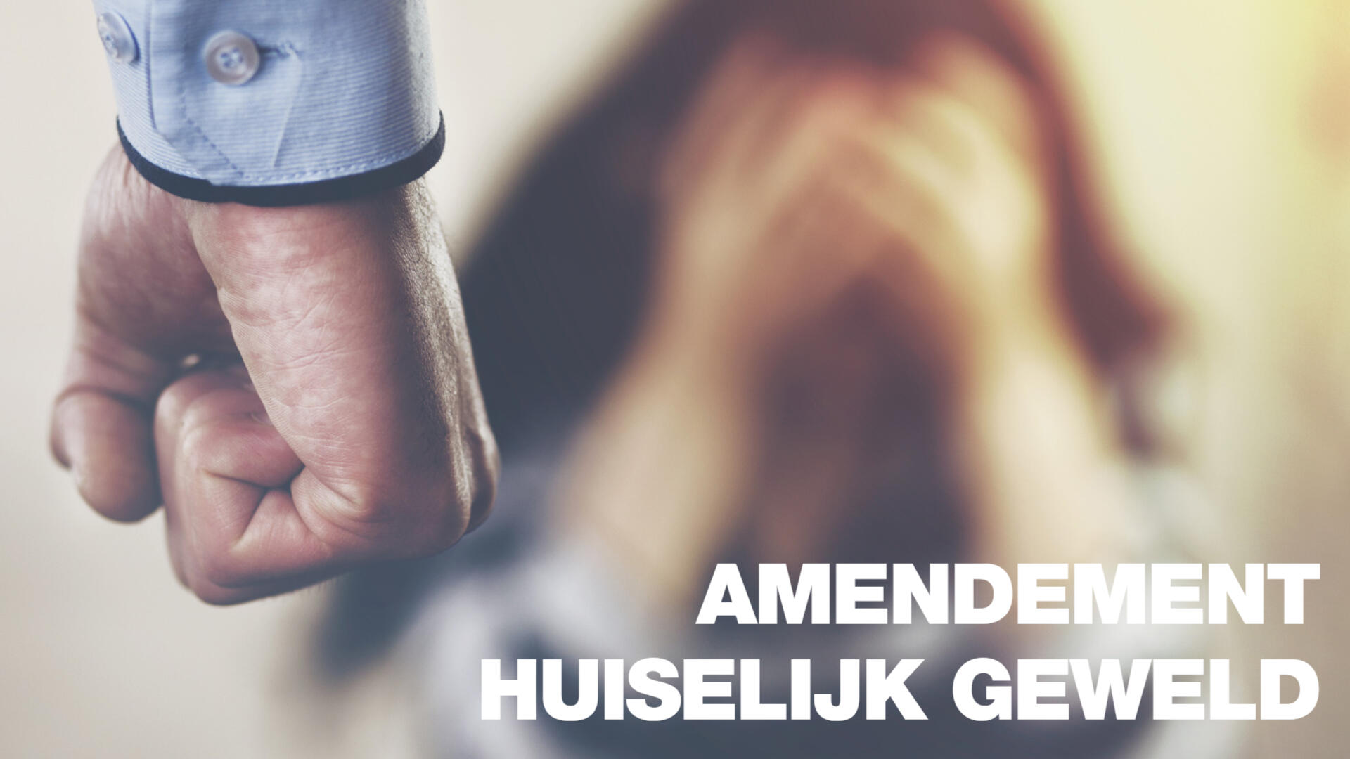 Amendement Huiselijkgeweld