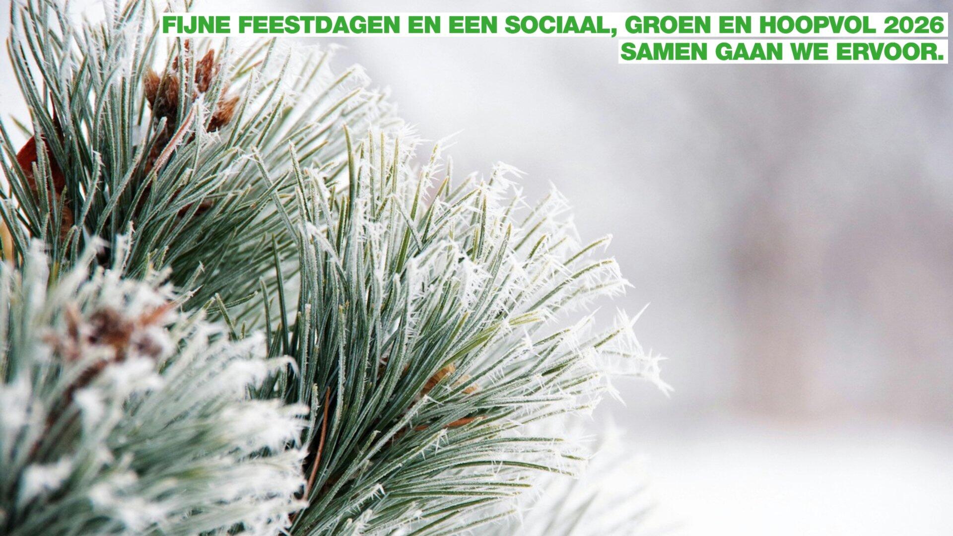 Foto van dennenboom in de sneeuw